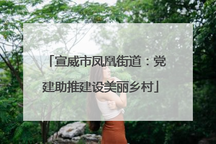 宣威市凤凰街道：党建助推建设美丽乡村