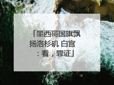 墨西哥国旗飘扬洛杉矶 白宫：看，罪证