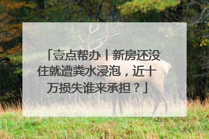 壹点帮办丨新房还没住就遭粪水浸泡，近十万损失谁来承担？