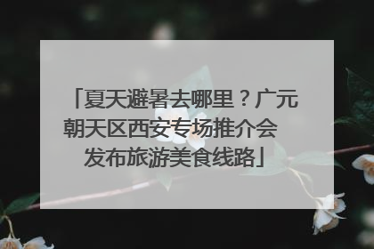 夏天避暑去哪里？广元朝天区西安专场推介会 发布旅游美食线路
