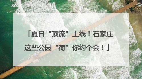 夏日“顶流”上线！石家庄这些公园“荷”你约个会！
