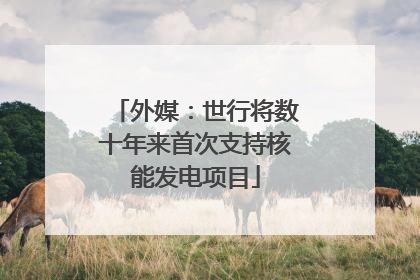 外媒：世行将数十年来首次支持核能发电项目