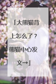 大熊猫背上怎么了？熊猫中心发文→