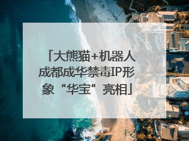 大熊猫+机器人 成都成华禁毒IP形象“华宝”亮相