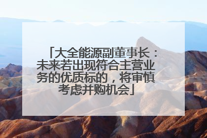 大全能源副董事长：未来若出现符合主营业务的优质标的，将审慎考虑并购机会