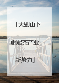 大别山下崛起茶产业新势力