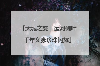 大城之变｜运河侧畔 千年文脉珍珠闪耀