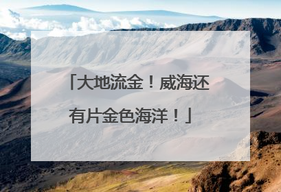 大地流金！威海还有片金色海洋！