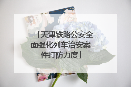 天津铁路公安全面强化列车治安案件打防力度