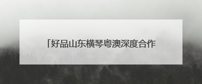 好品山东横琴粤澳深度合作区品牌出海中心正式启动