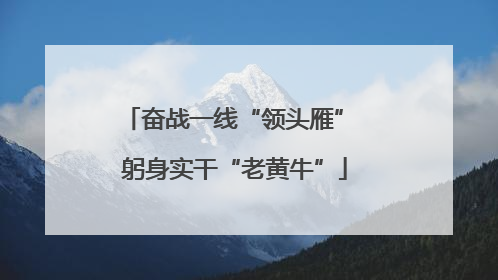 奋战一线“领头雁” 躬身实干“老黄牛”