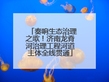奏响生态治理之歌！济南龙脊河治理工程河道主体全线贯通