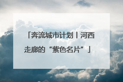奔流城市计划丨河西走廊的“紫色名片”