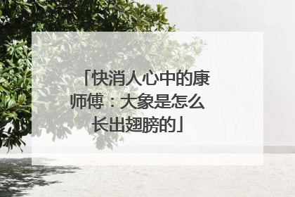 快消人心中的康师傅：大象是怎么长出翅膀的