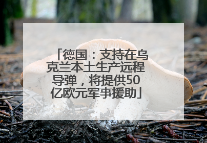 德国：支持在乌克兰本土生产远程导弹，将提供50亿欧元军事援助