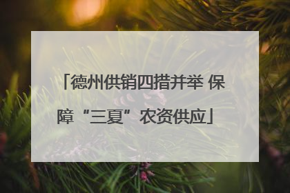 德州供销四措并举 保障“三夏”农资供应