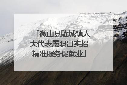 微山县驩城镇人大代表履职出实招精准服务促就业