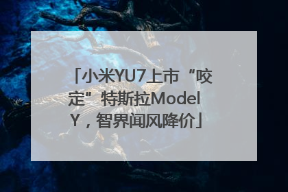 小米YU7上市“咬定”特斯拉Model Y，智界闻风降价