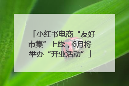 小红书电商“友好市集”上线，6月将举办“开业活动”
