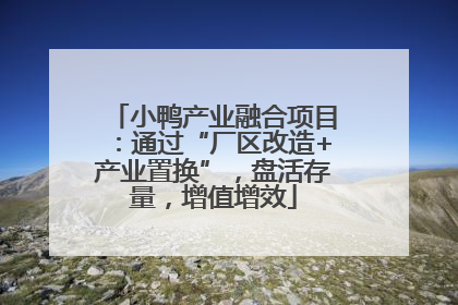 小鸭产业融合项目：通过“厂区改造+产业置换”，盘活存量，增值增效