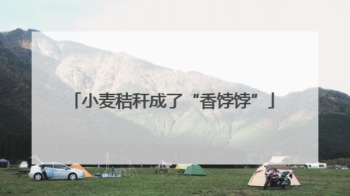 小麦秸秆成了“香饽饽”