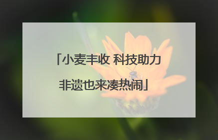 小麦丰收 科技助力 非遗也来凑热闹