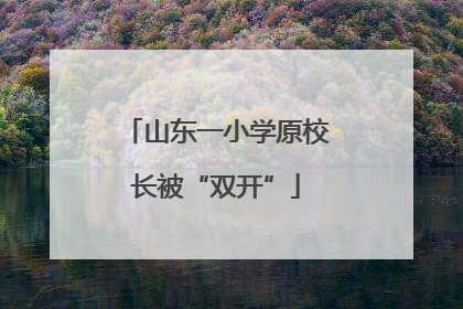 山东一小学原校长被“双开”