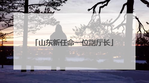 山东新任命一位副厅长