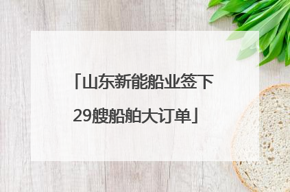 山东新能船业签下29艘船舶大订单