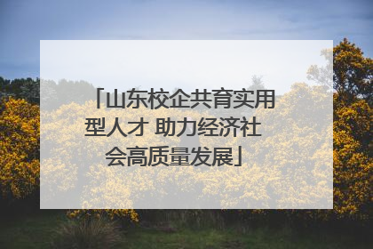 山东校企共育实用型人才 助力经济社会高质量发展