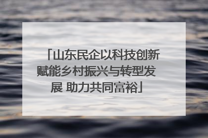 山东民企以科技创新赋能乡村振兴与转型发展 助力共同富裕