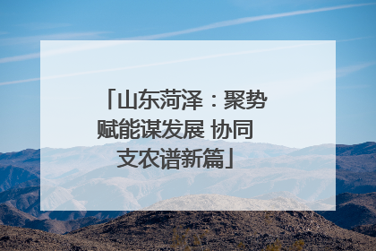 山东菏泽：聚势赋能谋发展 协同支农谱新篇