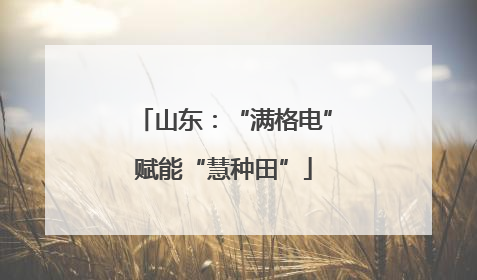 山东：“满格电”赋能“慧种田”