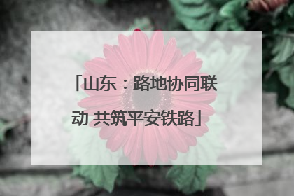 山东：路地协同联动 共筑平安铁路