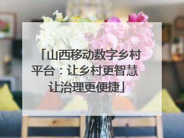 山西移动数字乡村平台：让乡村更智慧 让治理更便捷