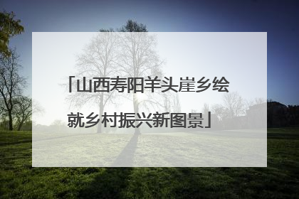 山西寿阳羊头崖乡绘就乡村振兴新图景