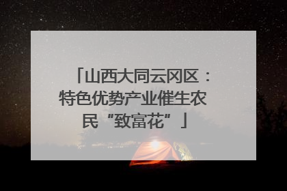 山西大同云冈区：特色优势产业催生农民“致富花”