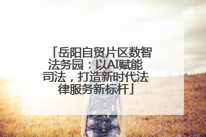 岳阳自贸片区数智法务园：以AI赋能司法，打造新时代法律服务新标杆