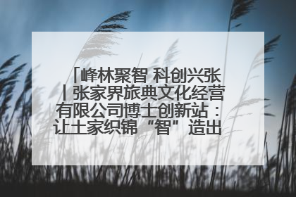 峰林聚智 科创兴张丨张家界旅典文化经营有限公司博士创新站：让土家织锦“智”造出非遗新传奇