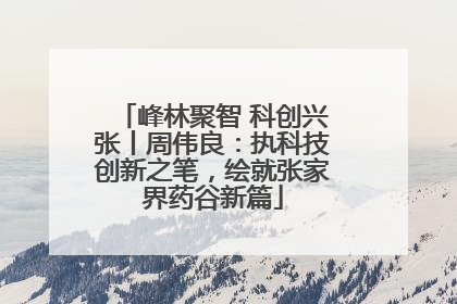 峰林聚智 科创兴张丨周伟良：执科技创新之笔，绘就张家界药谷新篇