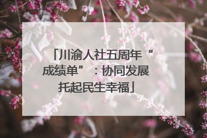川渝人社五周年“成绩单”：协同发展托起民生幸福