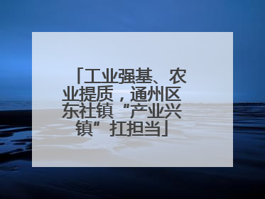 工业强基、农业提质，通州区东社镇“产业兴镇”扛担当
