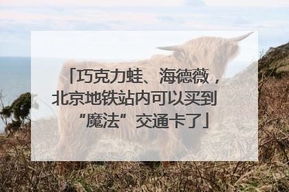 巧克力蛙、海德薇，北京地铁站内可以买到“魔法”交通卡了