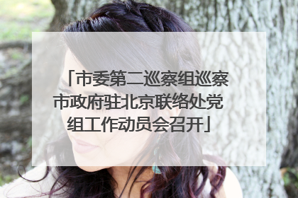 市委第二巡察组巡察市政府驻北京联络处党组工作动员会召开