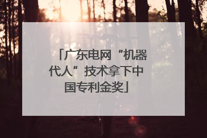 广东电网“机器代人”技术拿下中国专利金奖