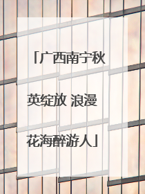 广西南宁秋英绽放 浪漫花海醉游人