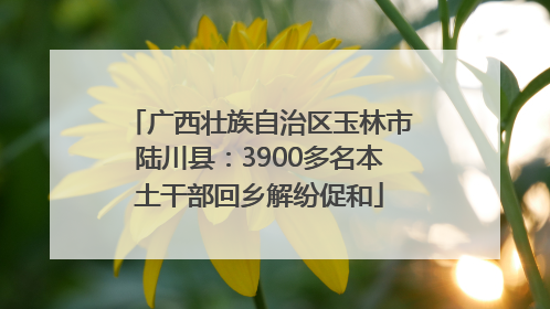 广西壮族自治区玉林市陆川县：3900多名本土干部回乡解纷促和