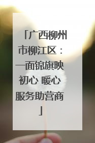 广西柳州市柳江区：一面锦旗映初心 暖心服务助营商