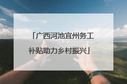 广西河池宜州务工补贴助力乡村振兴