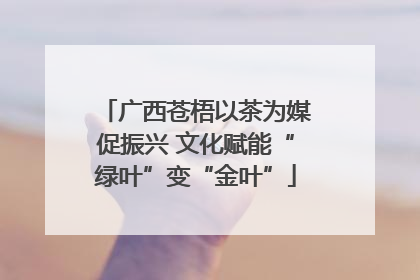 广西苍梧以茶为媒促振兴 文化赋能“绿叶”变“金叶”